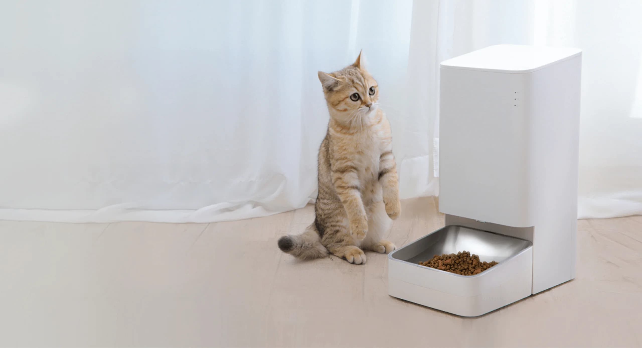 Comedero inteligente para mascotas