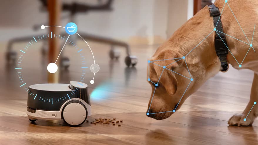 Robot interactivo para mascotas